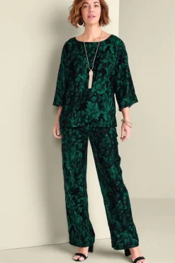 Hot Soft Surroundings Aria Velvet Top