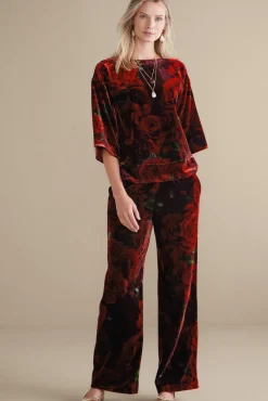 Hot Soft Surroundings Aria Velvet Top