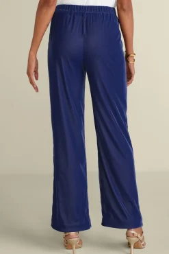 New Soft Surroundings Aria Velvet Wide Leg Pants