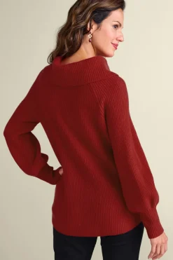 Online Soft Surroundings Calanthe Cashmere Pullover