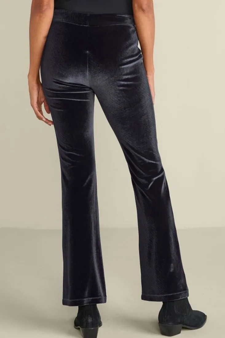 New Soft Surroundings Gianna Velvet Bootcut Pants Black