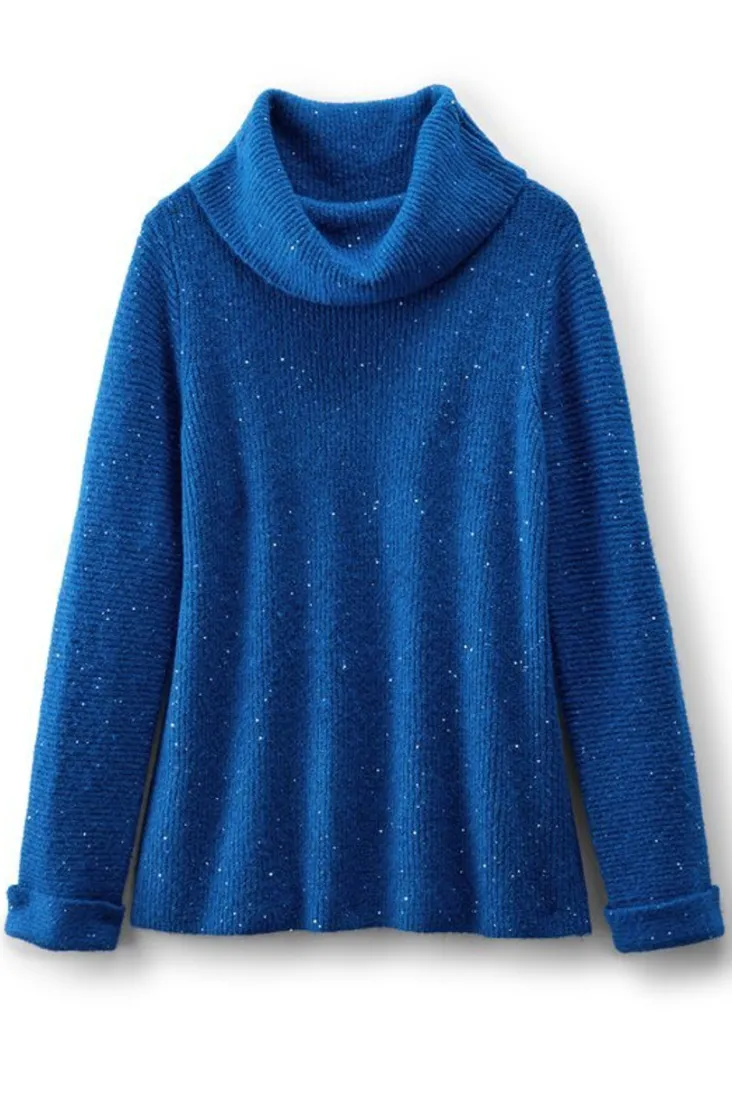 Online Soft Surroundings Linley Sequin Sweater