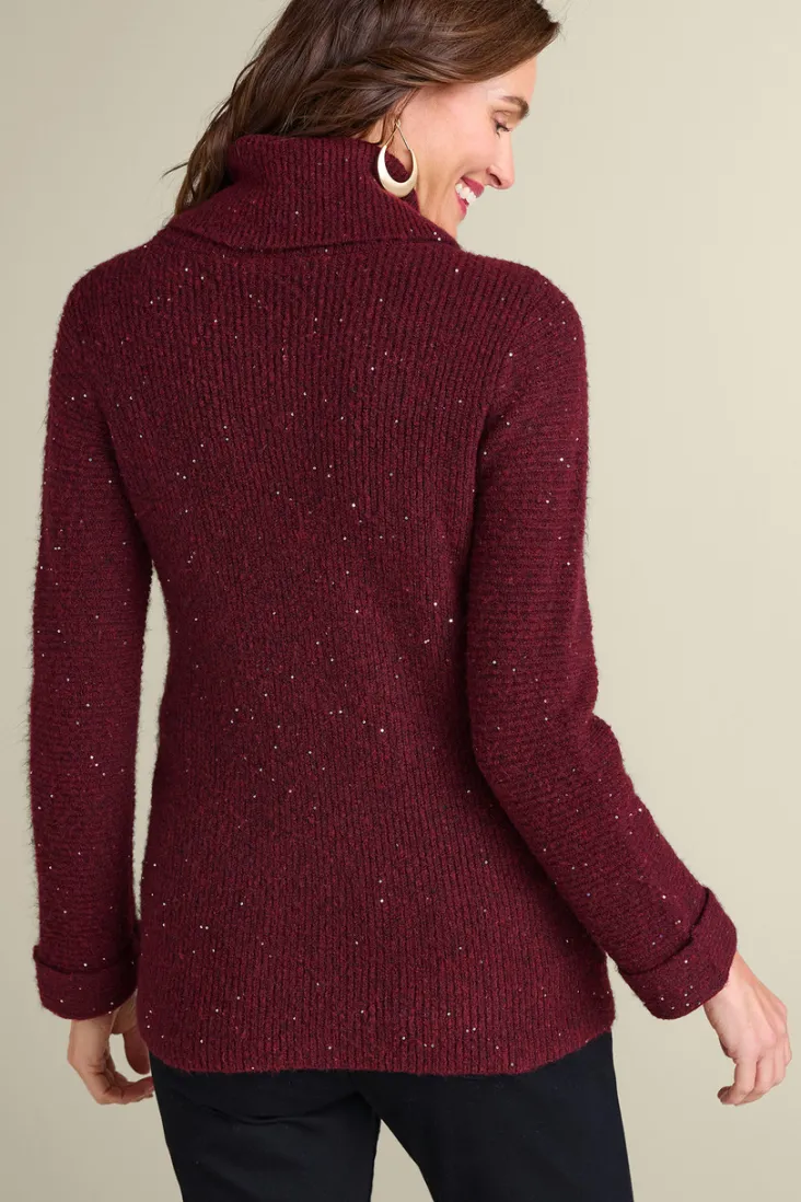 Online Soft Surroundings Linley Sequin Sweater