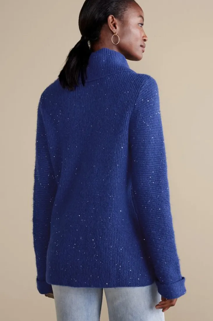 Online Soft Surroundings Linley Sequin Sweater