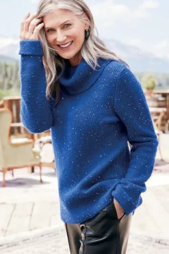Online Soft Surroundings Linley Sequin Sweater