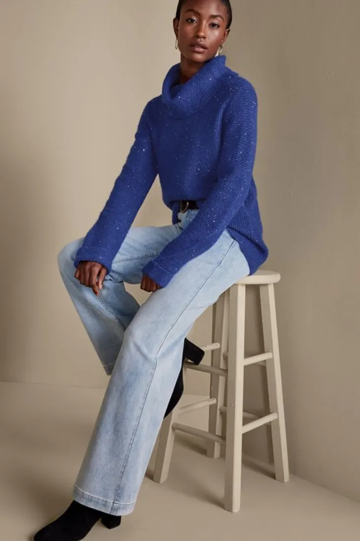 Online Soft Surroundings Linley Sequin Sweater