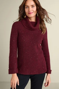 Online Soft Surroundings Linley Sequin Sweater