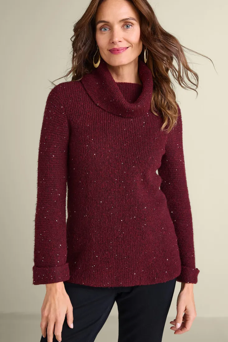 Online Soft Surroundings Linley Sequin Sweater
