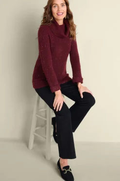 Online Soft Surroundings Linley Sequin Sweater