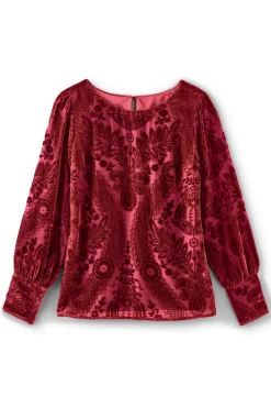 Sale Soft Surroundings Vanetta Velvet Top
