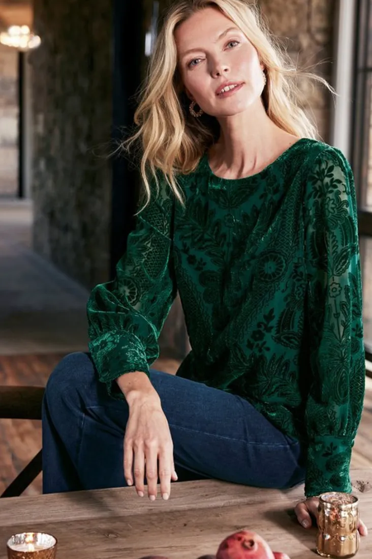 Sale Soft Surroundings Vanetta Velvet Top