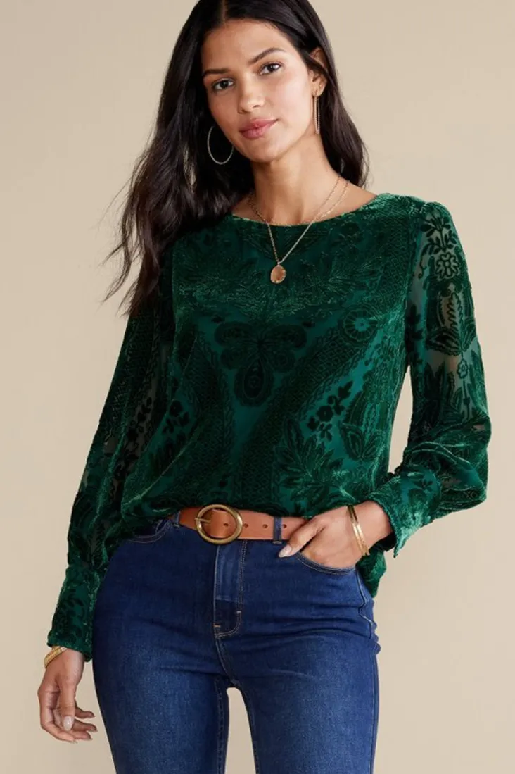 Sale Soft Surroundings Vanetta Velvet Top