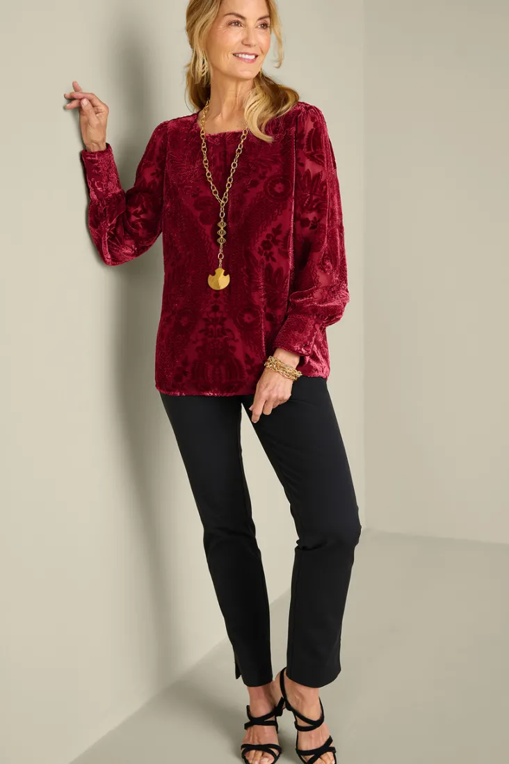 Sale Soft Surroundings Vanetta Velvet Top