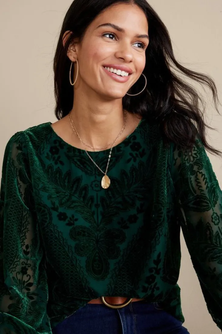 Sale Soft Surroundings Vanetta Velvet Top