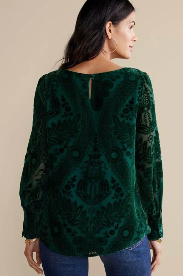 Sale Soft Surroundings Vanetta Velvet Top